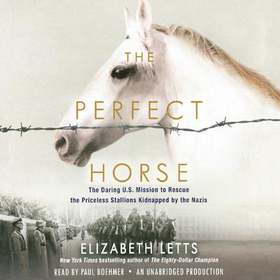 The Perfect Horse by Elizabeth Letts audiobook