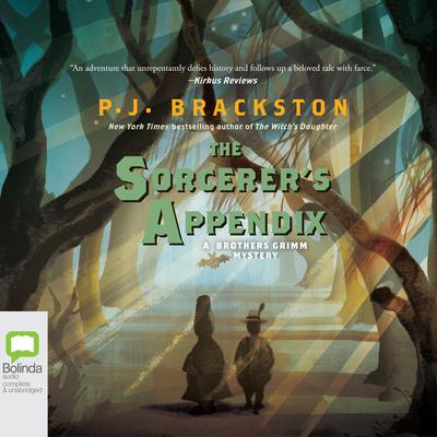 The Sorcerer's Appendix by P. J. Brackston audiobook