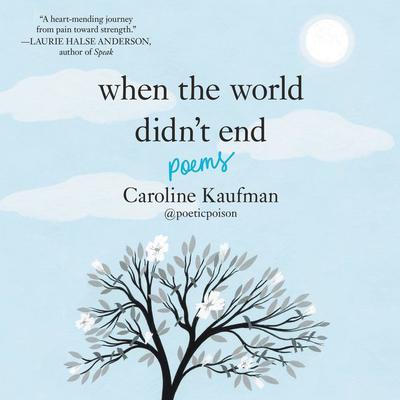 When the World Didn't End: Poems by Caroline Kaufman audiobook