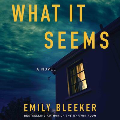 What It Seems by Emily Bleeker audiobook