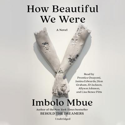 How Beautiful We Were by Imbolo Mbue audiobook