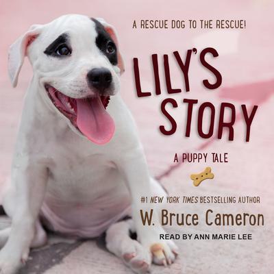 Lily's Story by W. Bruce Cameron audiobook